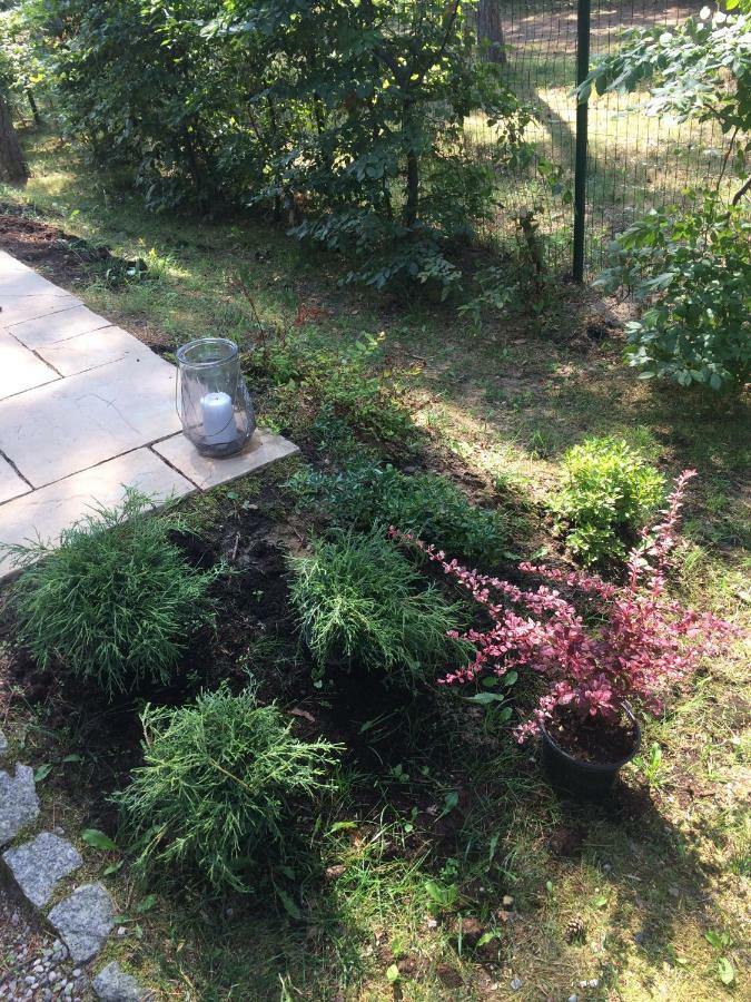 Villa Zlote Wydmy Międzywodzie Eksteriør bilde